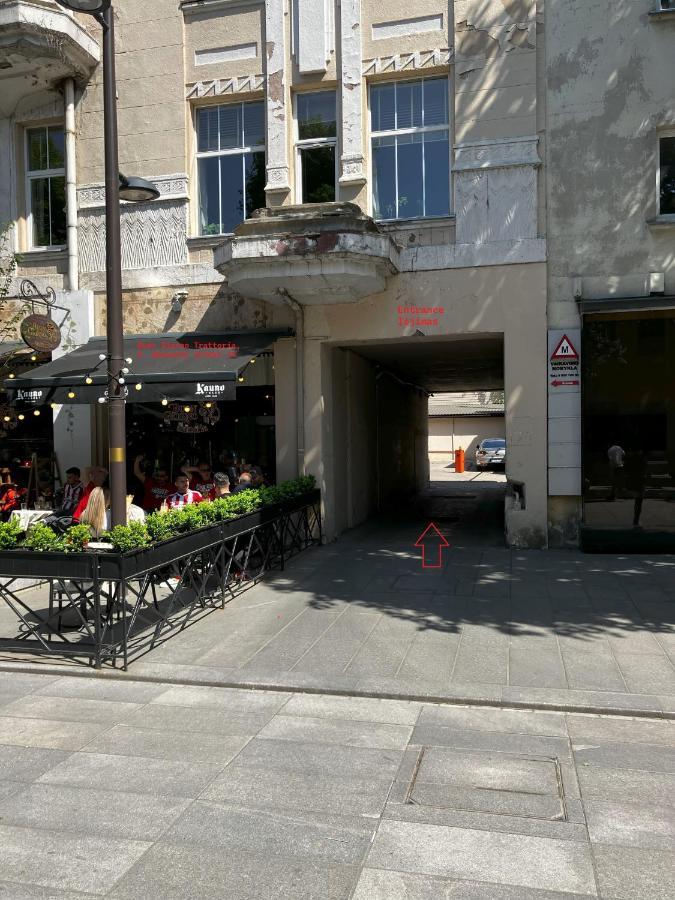 Ingos Laisves al. apartamentai Kaunas Bagian luar foto